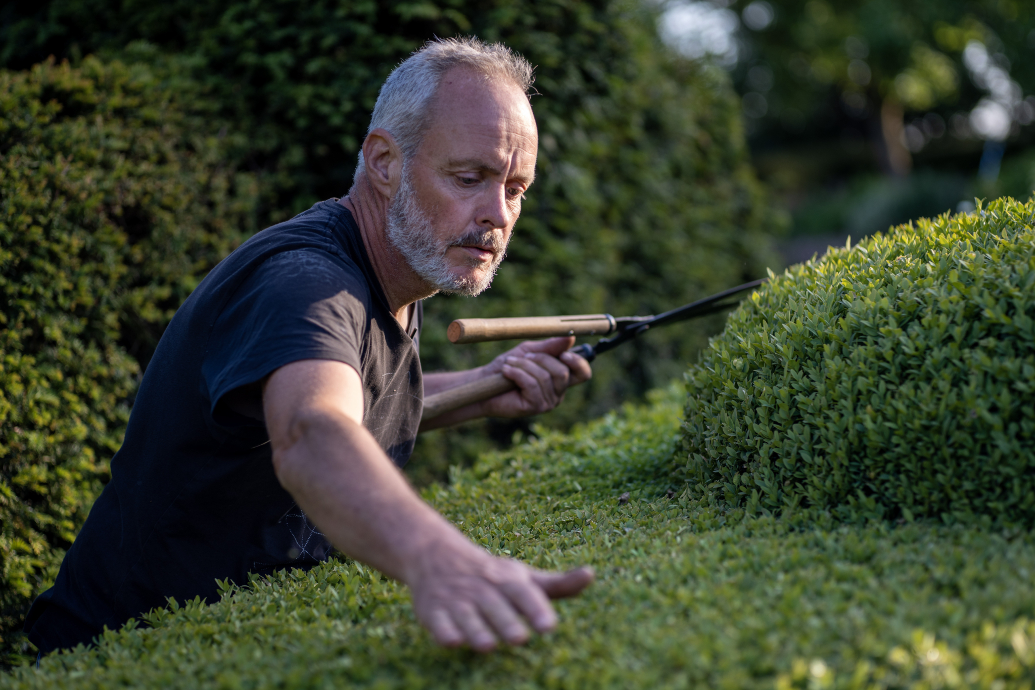 The Gardener, The Buddhist & The Spy  © Havard Bustnes