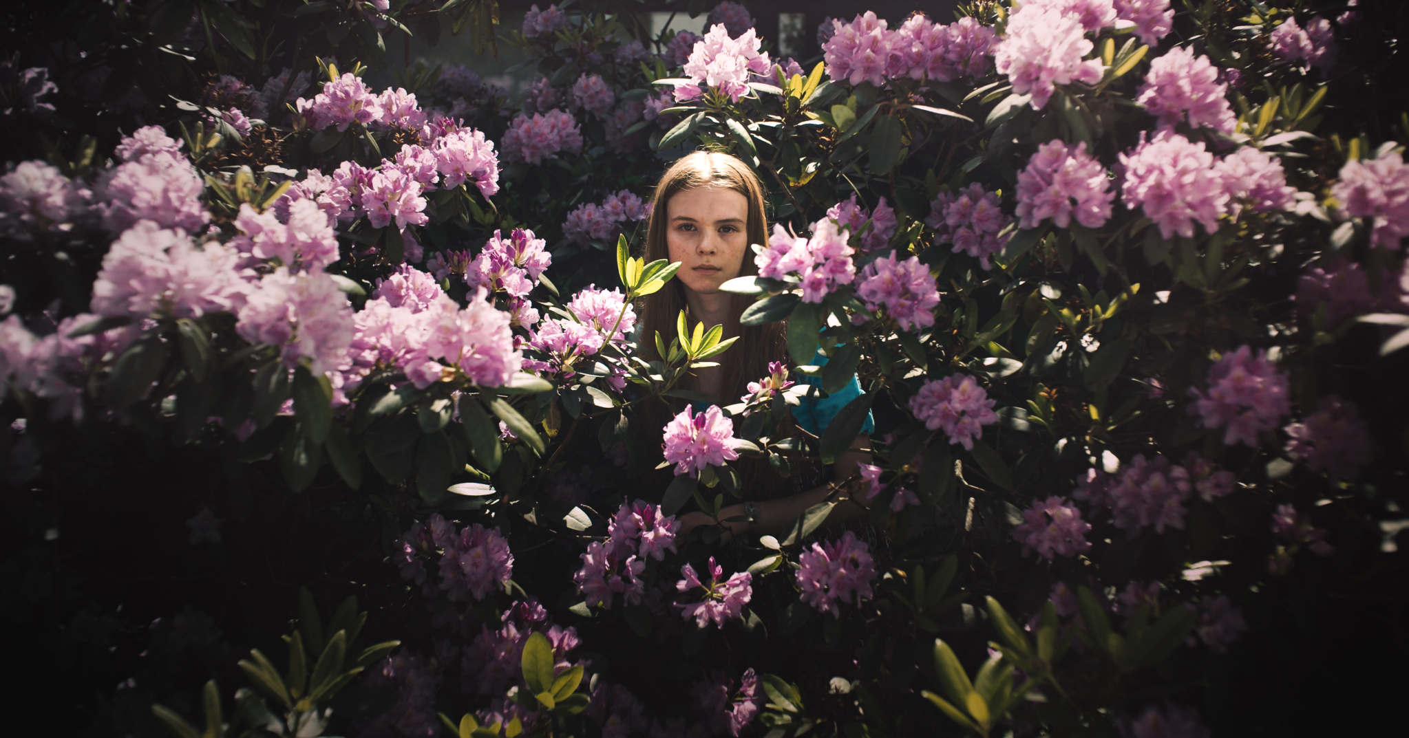The Boy Next Door ©  Aamu Film Company, Jan Niclas Jansson