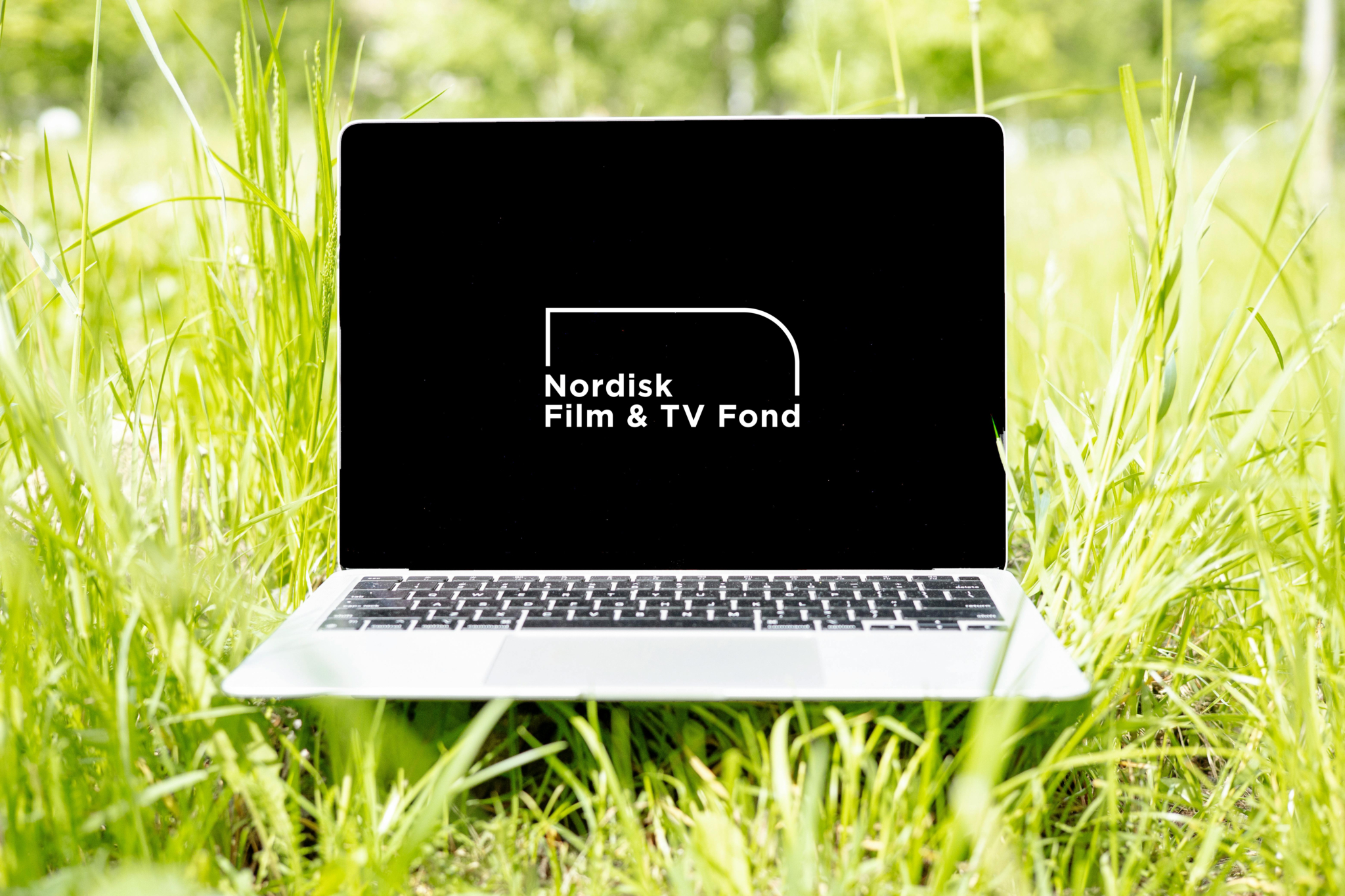 Nordisk Film & TV Fond  © Pexels, Anna Nekrashevich